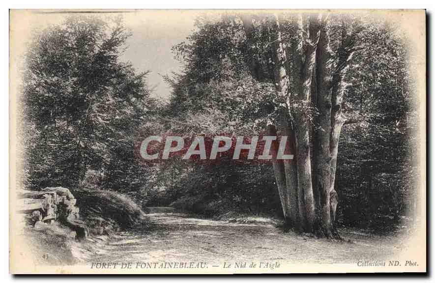 Forêt de Fontainebleau — Le Nid de l'Aigle — Collections ND. Phot.