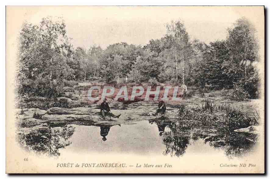Forêt de Fontainebleau — La Mare aux Fées — Collections ND Photo