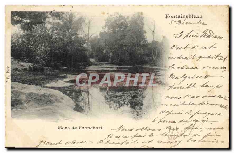 Mare de Franchart — Fontainebleau — B.F. Paris