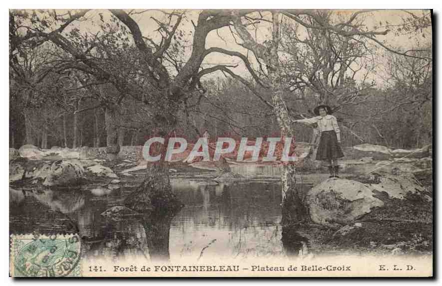 Wald von FONTAINEBLEAU – Plateau de Belle-Croix — E. L. D. n°141