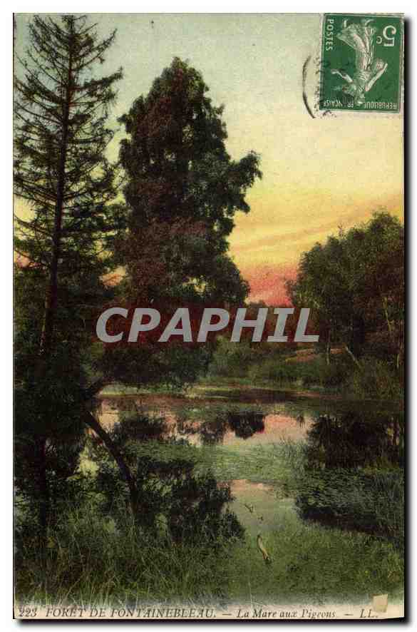 Fôret de Fontainebleau — La Mare aux Pigeons — LL. — n°223