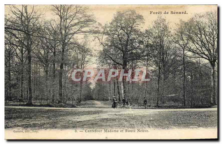CPA Foret de Senard Carrefour Madame et Route Neuve 