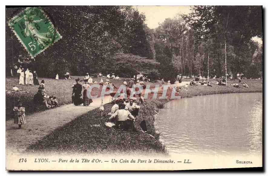CPA Lyon Parc de la Tete d'Or Un Coin du Parc le Dimanche 