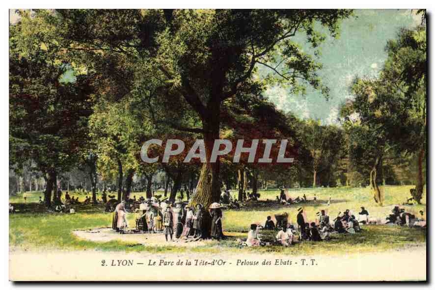 CPA Lyon Le Parc de la Tete d'Or Pelouse des Ebats 