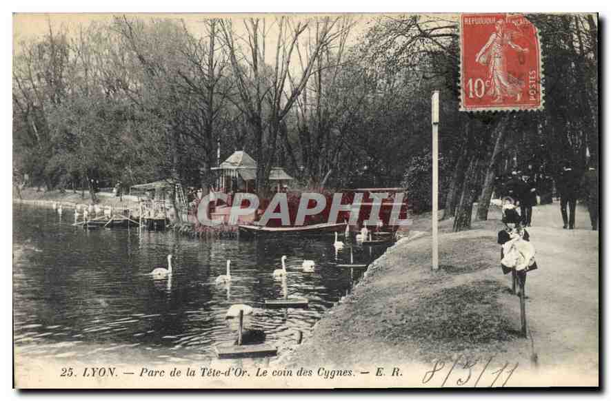 CPA Lyon Parc de la Tete d'Or Le Coin des Cygnes 