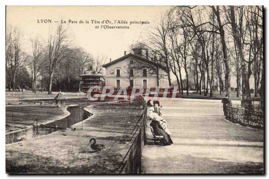 CPA Lyon Parc de la Tete d'Or l'Allee principale et l'Observatoire 