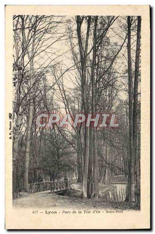 CPA Lyon Parc de la Tete d'Or Sous Bois 