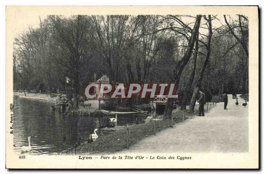 CPA Lyon Parc de la Tete d'Or Le Coin des Cygnes 