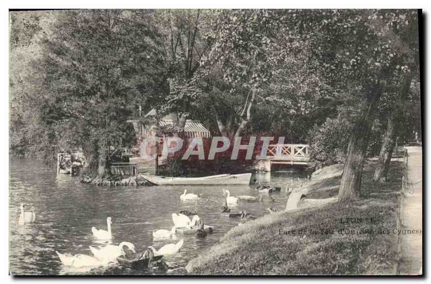 Lyon - Fare de la Tête d'Or (Jardin des Cygnes) — Éditeur : Graphil