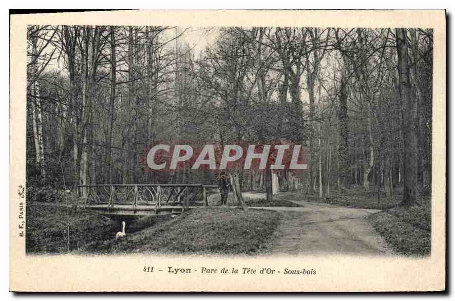 CPA Lyon Parc de la Tete d'Or Sous Bois 