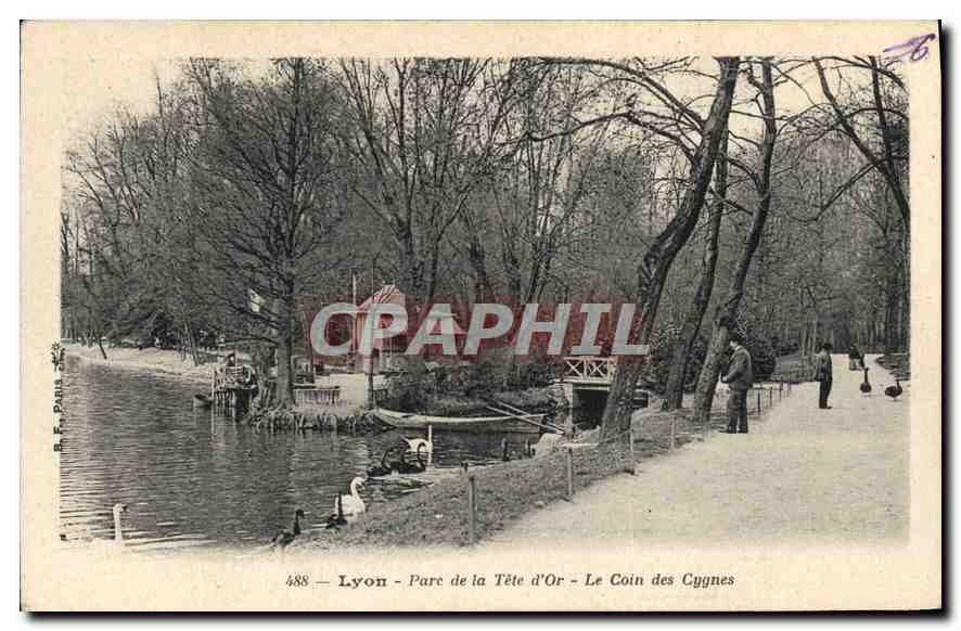 Lyon - Parc de la Tête d'Or - Le Coin des Cygnes — R. E. Paris, n° 488
