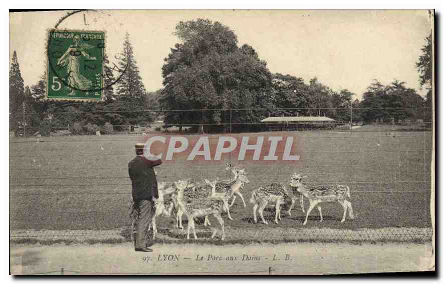 CPA Lyon Le Parc aux Dains 