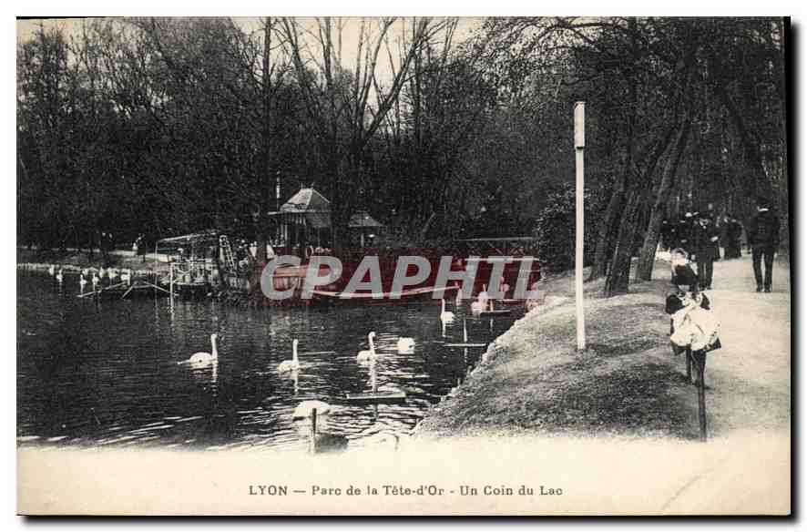 CPA Lyon Parc de la Tete d'Or Un Coin du Lac 