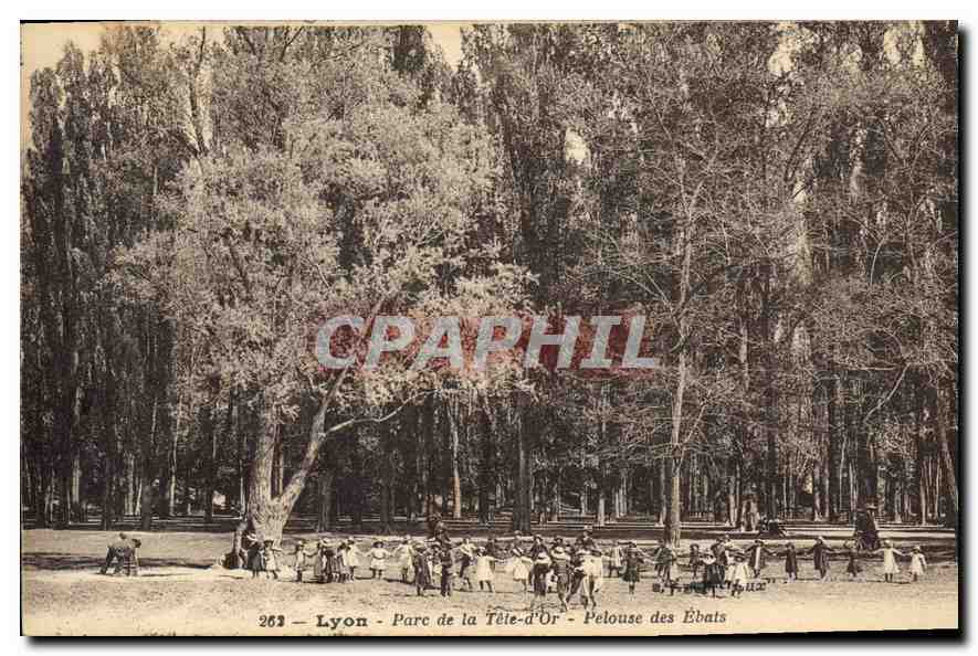 CPA Lyon Parc de la Tete d'Or Pelouse des Ebats Enfants
