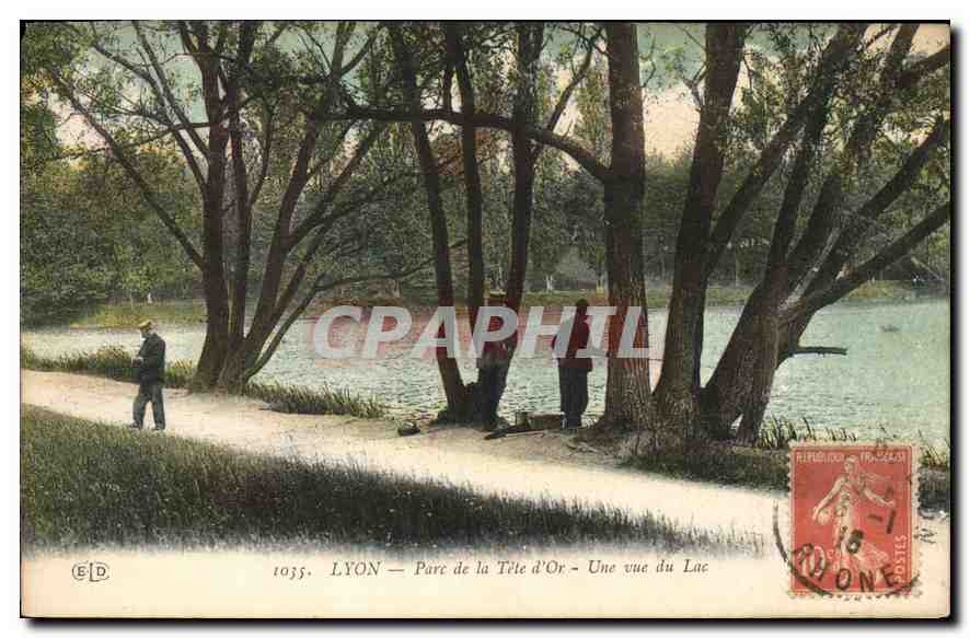 CPA Lyon Parc de la Tete d'Or Une vue du Lac 