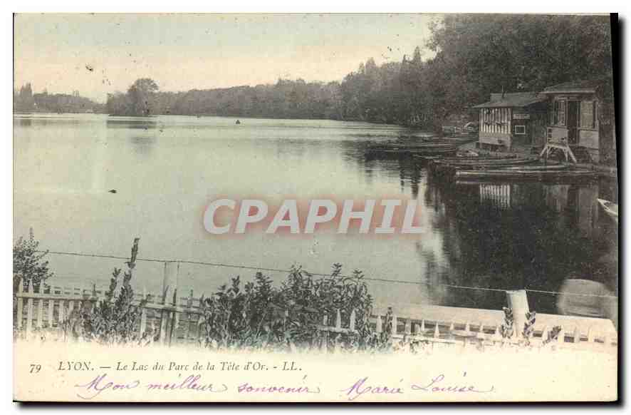 CPA Lyon Le Lac du Parc de la Tete d'Or 