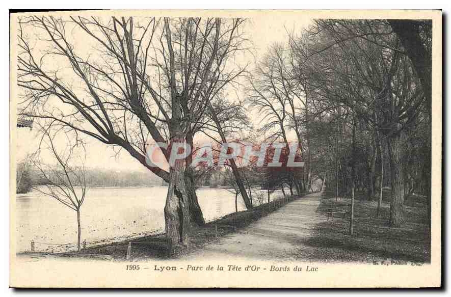 CPA Lyon Parc de la Tete d'Or Bords du Lac 