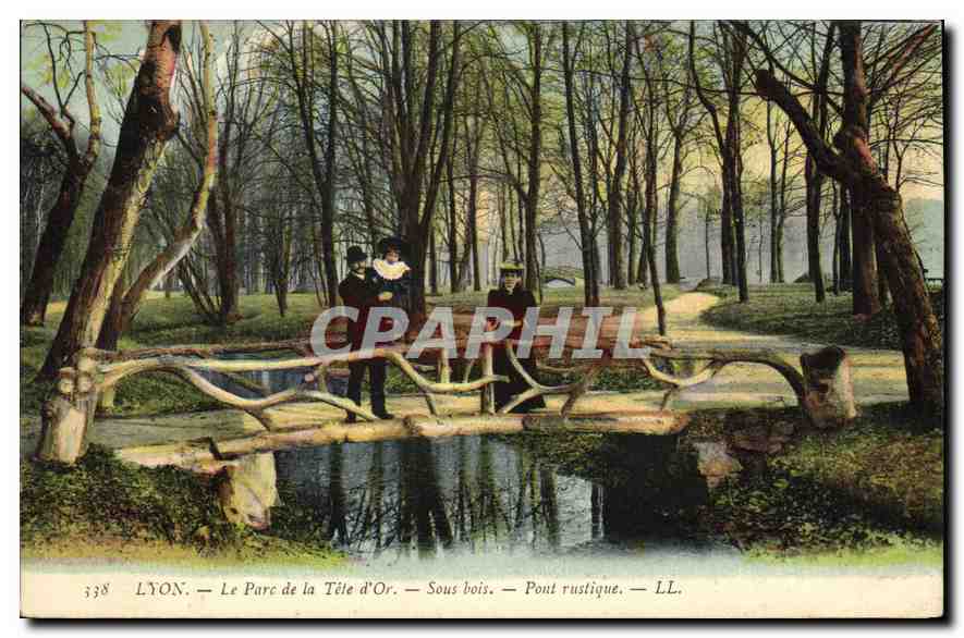 CPA Lyon Le Parc de la Tete d'Or Sous Bois Pont Rustigue 