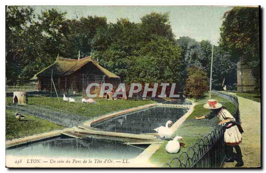CPA Lyon Un Coin du Parc de la Tete d'Or Enfant