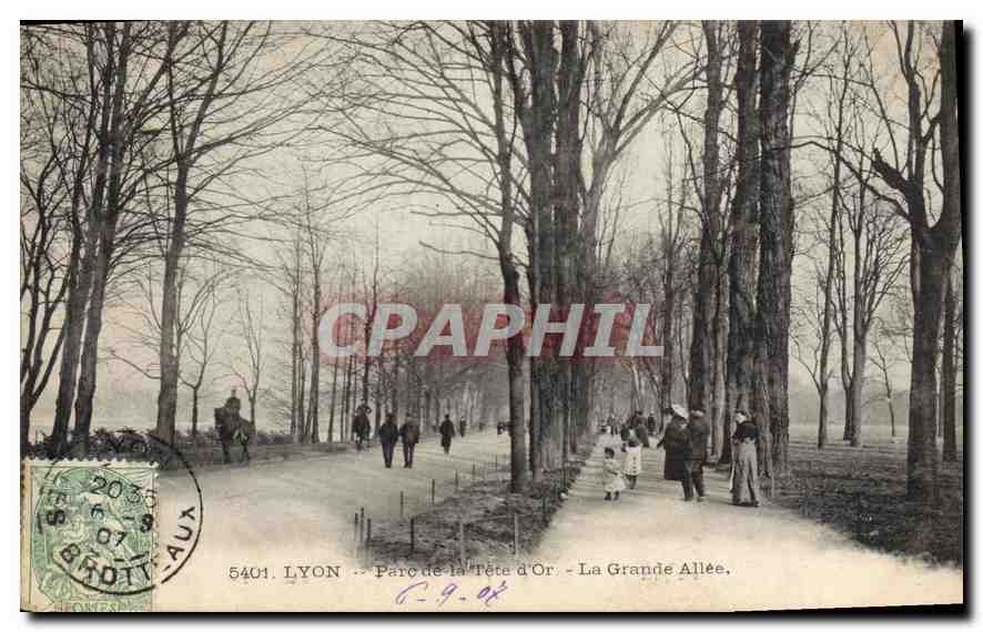 CPA Lyon Parc de la Tete d'Or La Grande Allee 