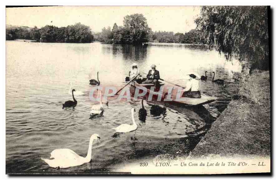 CPA Lyon Un Coin du Lac de la Tete d'Or 