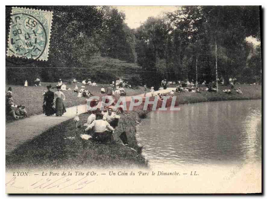 CPA Lyon Le Parc de la Tete d'Or Un Coin du Parc le Dimanche 