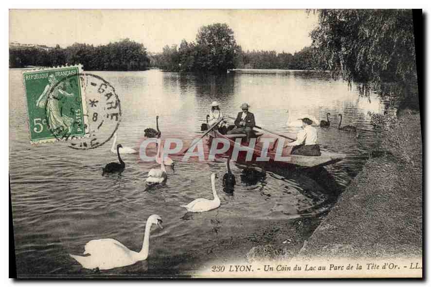CPA Lyon Un Coin du Lac au Parc de la Tete d'Or 