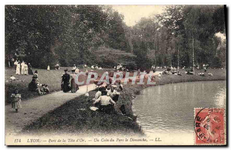 CPA Lyon Parc de la Tete d'Or Un Coin du Parc le Dimanche 