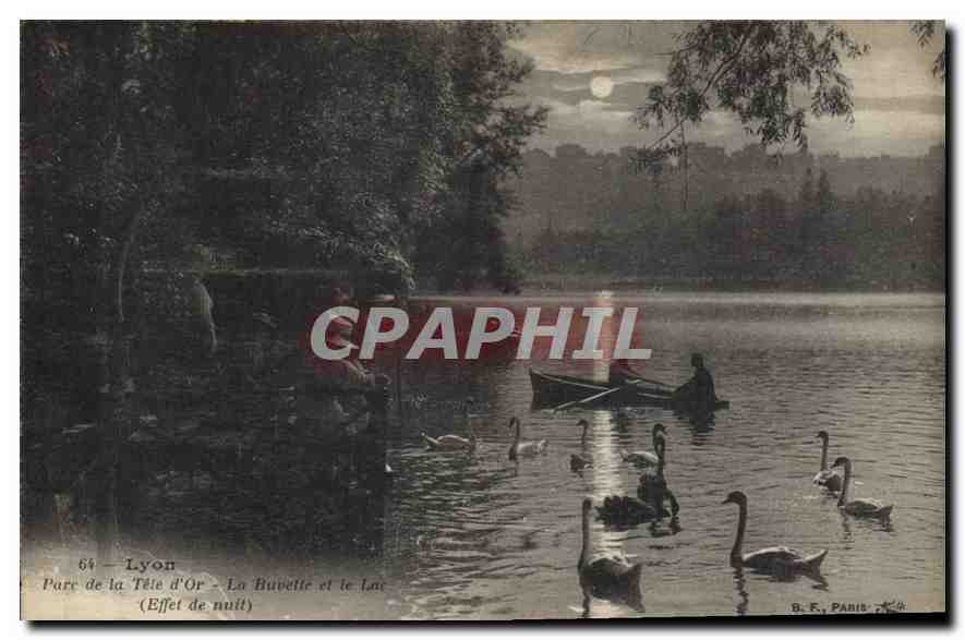 CPA Lyon Parc de la Tete d'Or La Buvette et le Lac Effet de nuit 