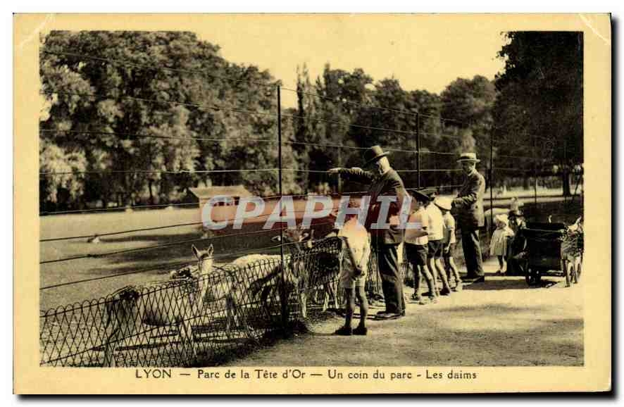 CPA Lyon Parc de la Tete d'Or Un Coin du parc Les Daims Enfants