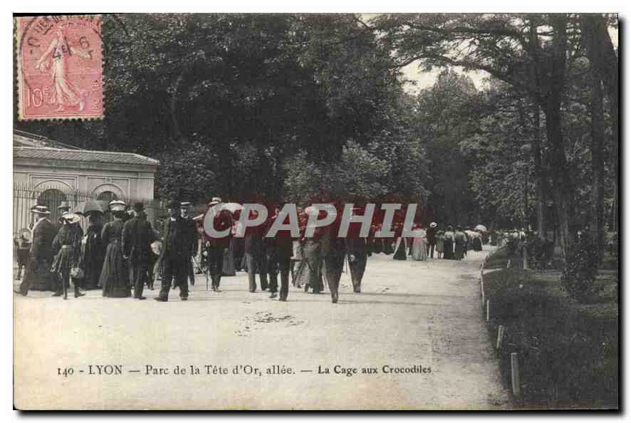 CPA Lyon Parc de la Tete d'Or Allee La Cage aux Crocodiles 