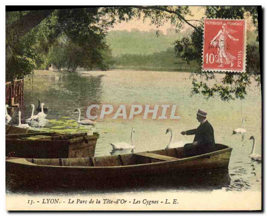 CPA Lyon Le Parc de la Tete d'Or Les Cygnes 