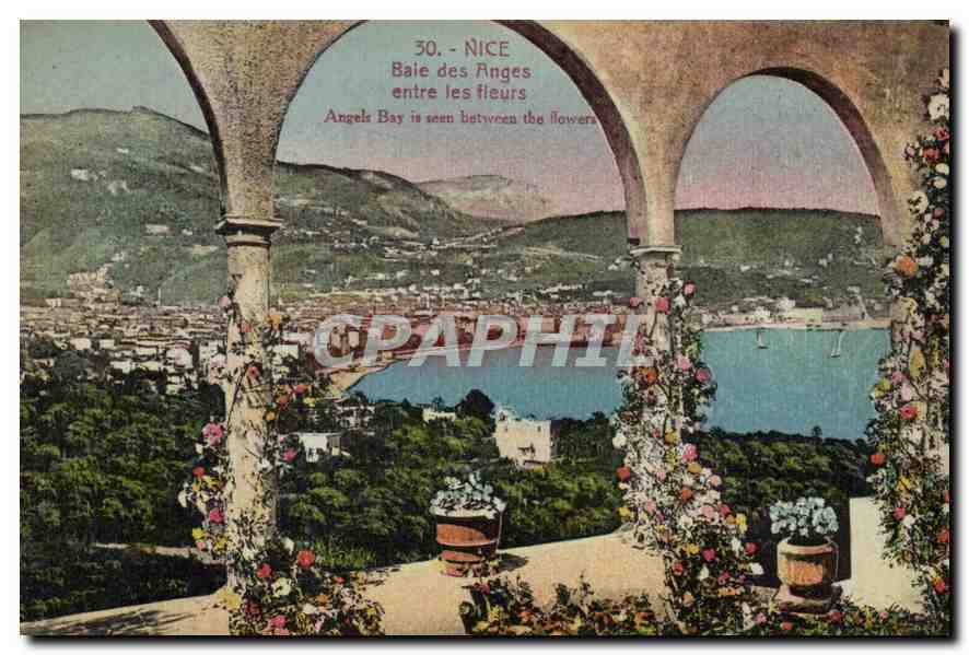 CPA Nice Baie des Anges entre les fieurs 