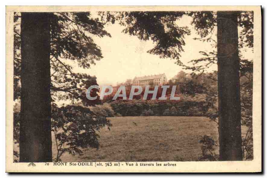 CPA Mont Ste Odile Vue a travers les arbres 