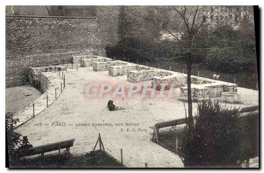 CPA Paris Arenes Romaines rue Monge 