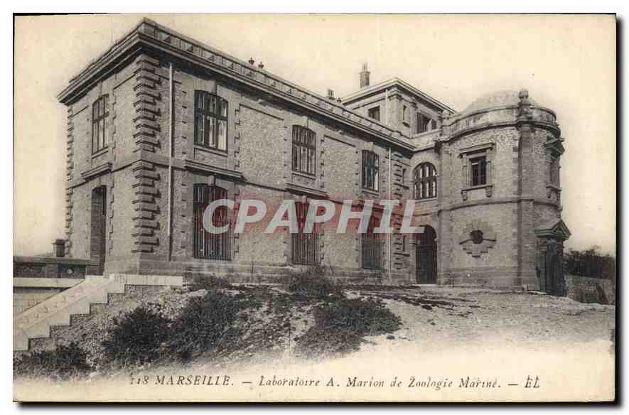 CPA Marseille Laboratoire A Marlon de Zoologie Marine 