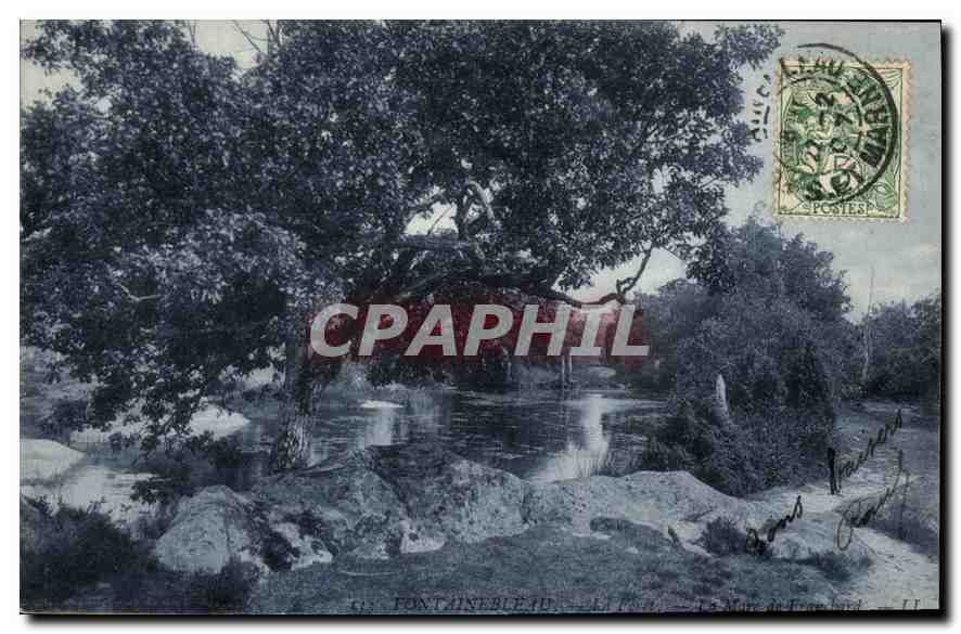 Fontainebleau — Ansicht des Sees Île — Verlag: C. P. T. (n° 11)