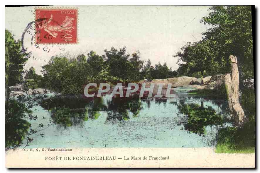 Forêt de Fontainebleau — La Mare de Franchard — G. B. N. G. Fontainebleau