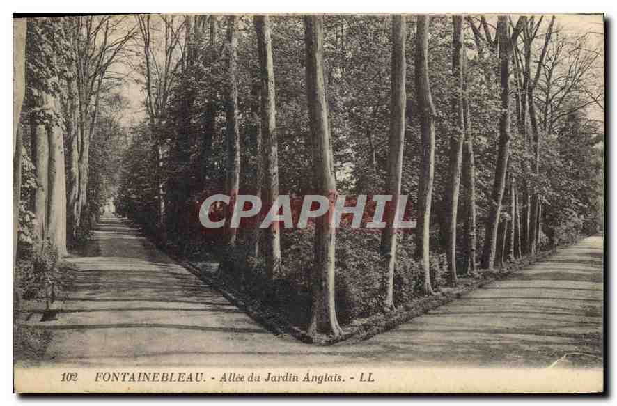 Fontainebleau - Allée du Jardin Anglais — LL, n° 102