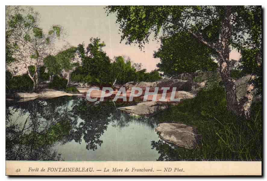 Forêt de FONTAINEBLEAU — La Mare de Francbard — ND Pbol.