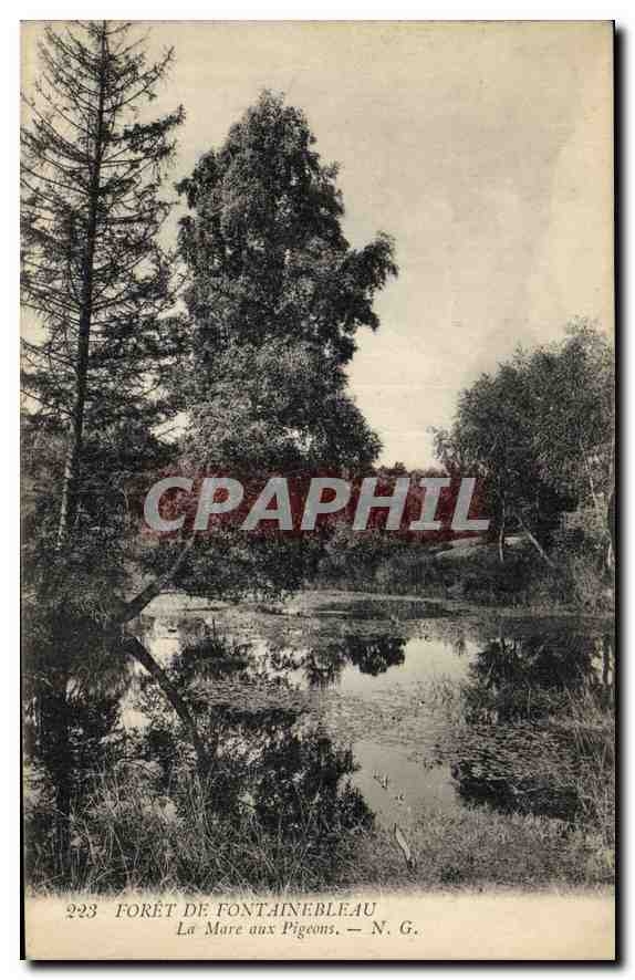 Bosque de Fontainebleau — La Mare aux Pigeons — N. G. — n° 223