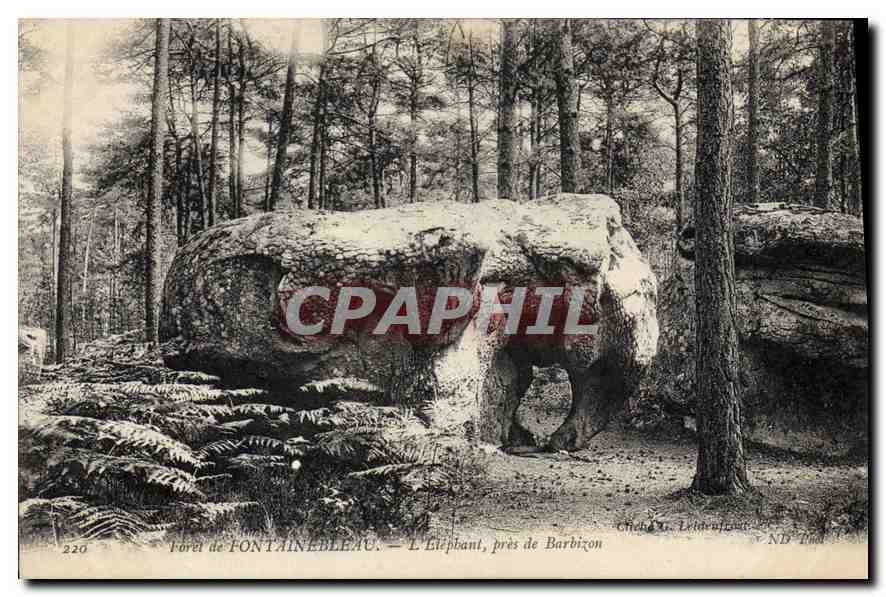 Wald von FONTAINEBLEAU — Der Elefant, nahe Barbizon — Chiché & Lédenfroint
