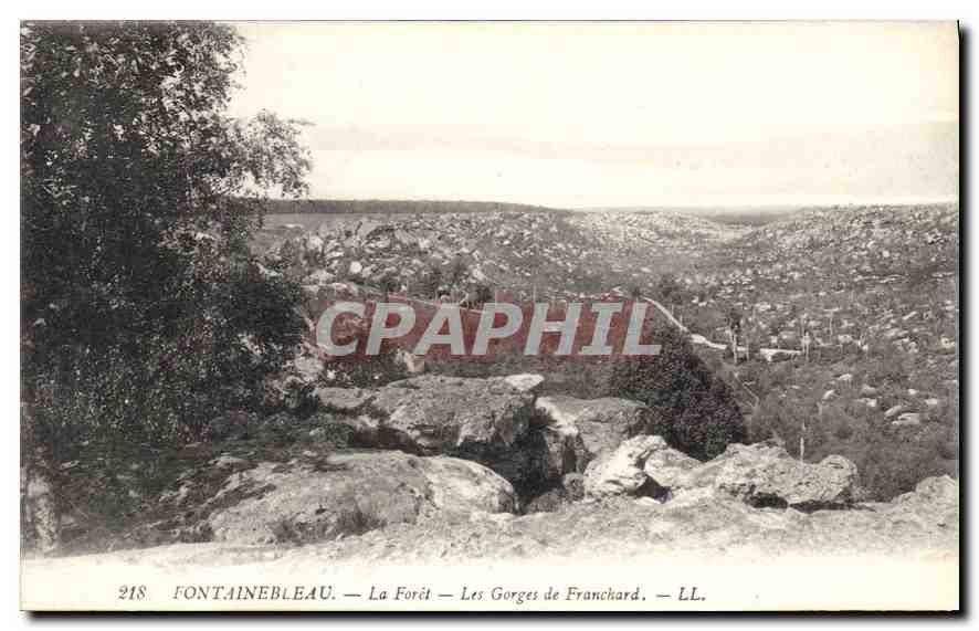 Fontainebleau — Die Forêt — Die Gorges de Franchard — LL. — n° 218