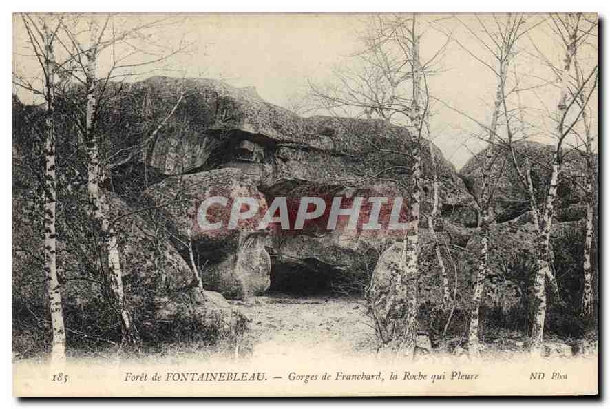 Foresta di FONTAINEBLEAU — Gole di Franchard, la Roche qui Pleure — ND Phot