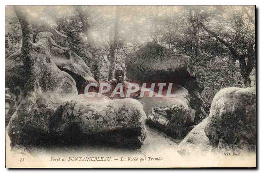 Wald von FONTAINEBLEAU — La Roche qui Tremble — ND Fotografie