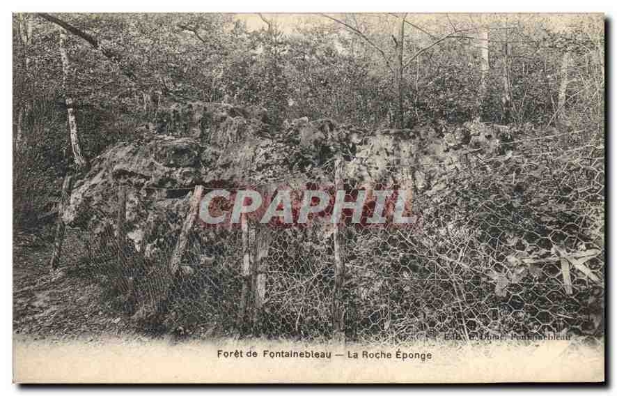 Forêt de Fontainebleau — La Roche Éponge — Éd. G. Dufour, Fontainebleau
