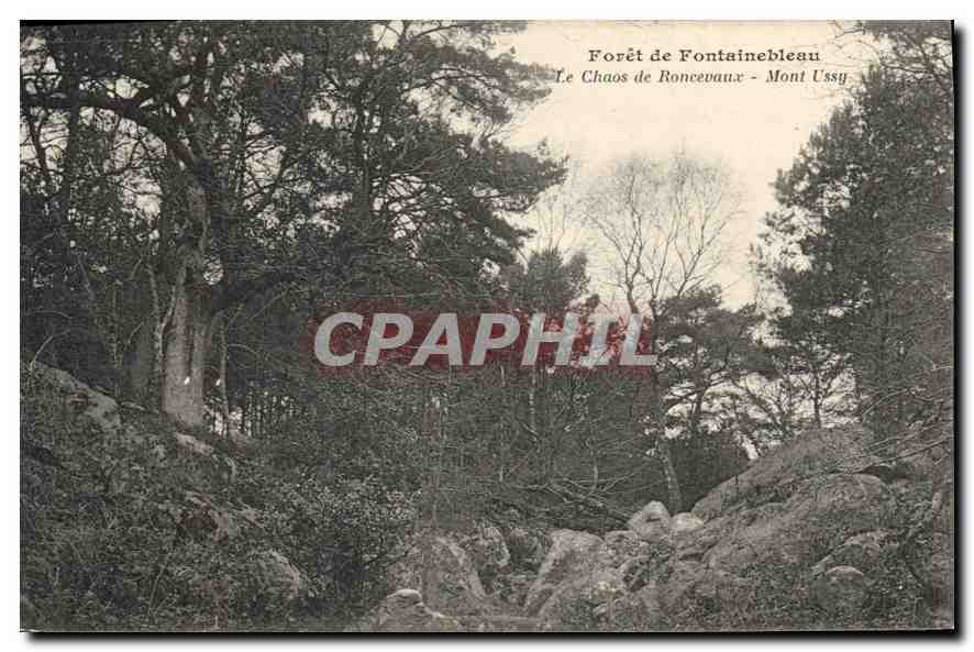 Forêt de Fontainebleau — Le Chaos de Roncevaux - Mont Ussey