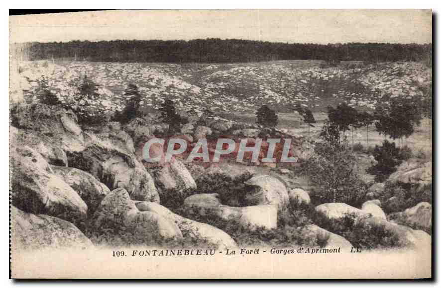 Fontainebleau - La Forêt - Gorges d'Apremont — LL, n°109