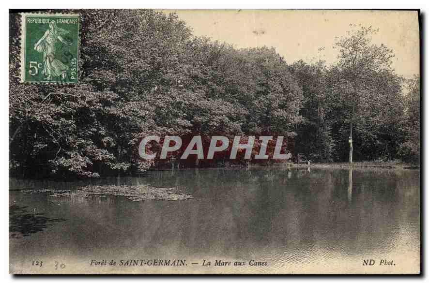 CPA Foret de Saint Germain La Mare aux Canes 