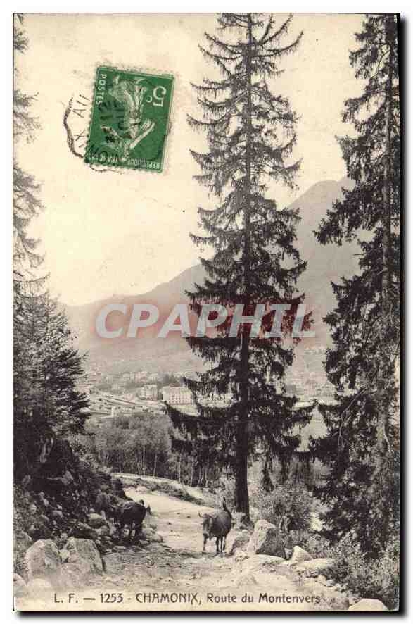 Chamonix — Route du Montenvers — L.F. 1253